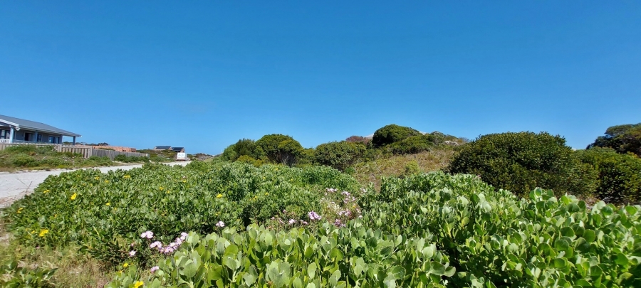 0 Bedroom Property for Sale in Suiderstrand Western Cape
